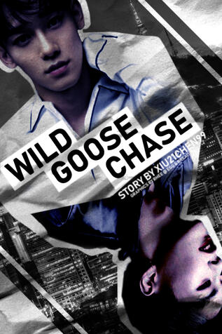 Wild Goose Chase